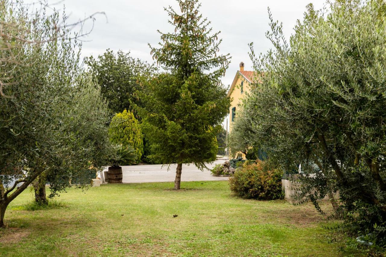 Bed and Breakfast Il Casale Di Nonno Guido Monterado Экстерьер фото